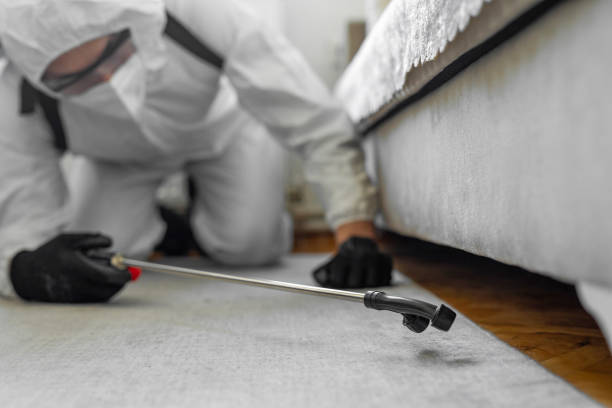 Professional Pest Control technician working in Central Islip, NY