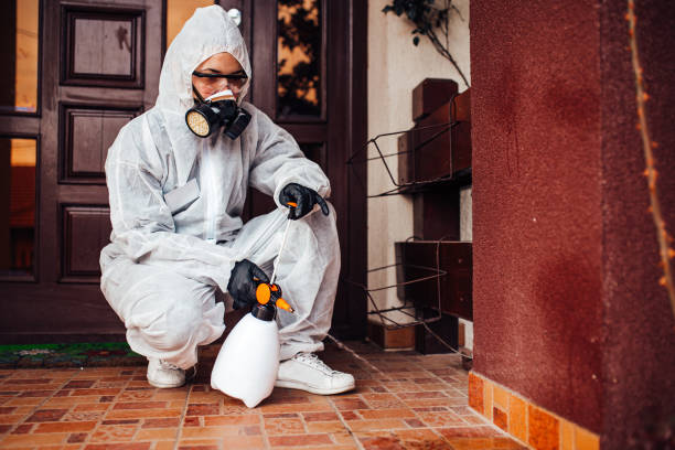 Reliable Rodent Control contractor in Central Islip, NY by Nex Pest Control